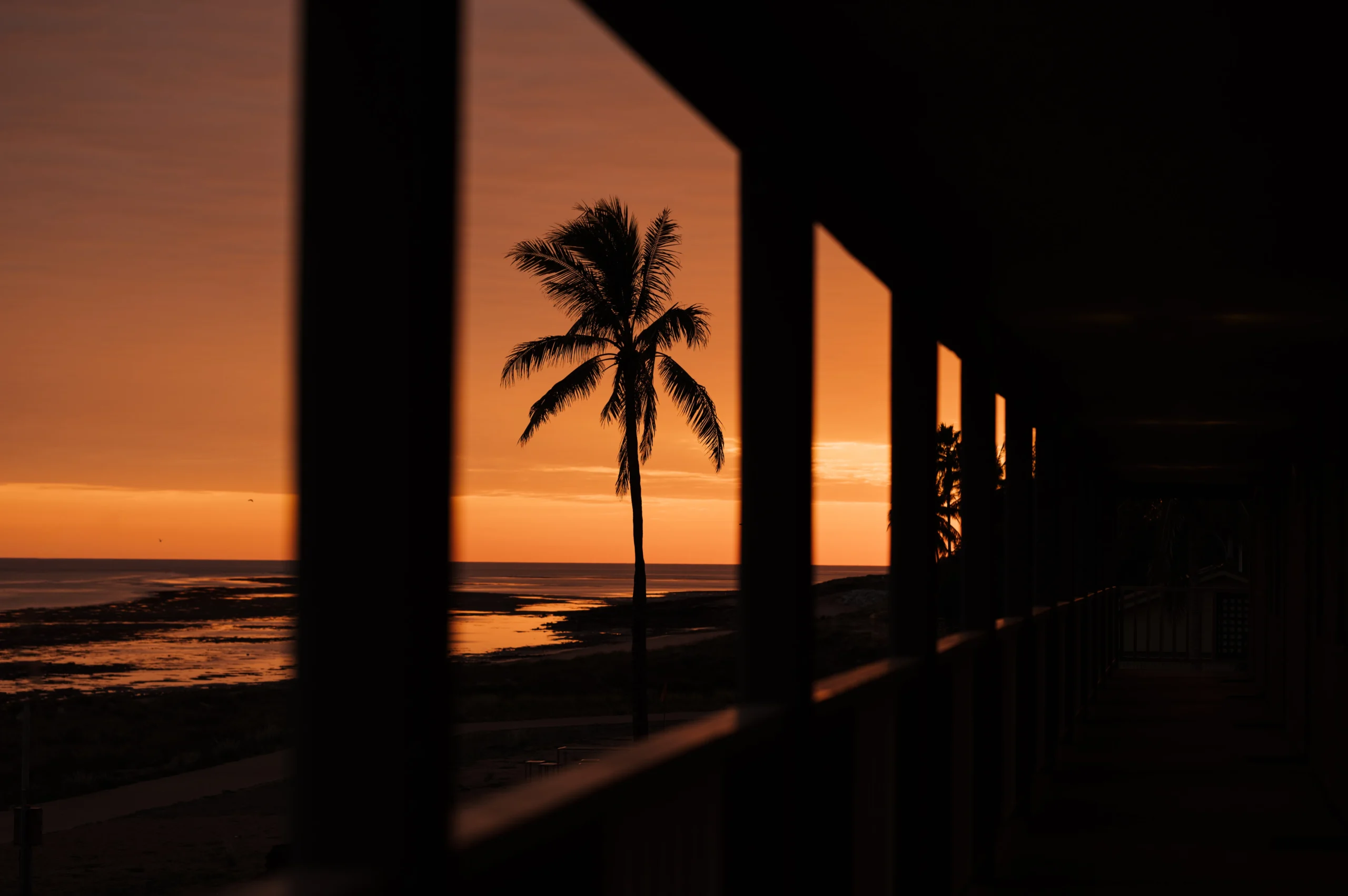 Photo of a view showing the sun setting which is silhouetting a palm tree on the beach