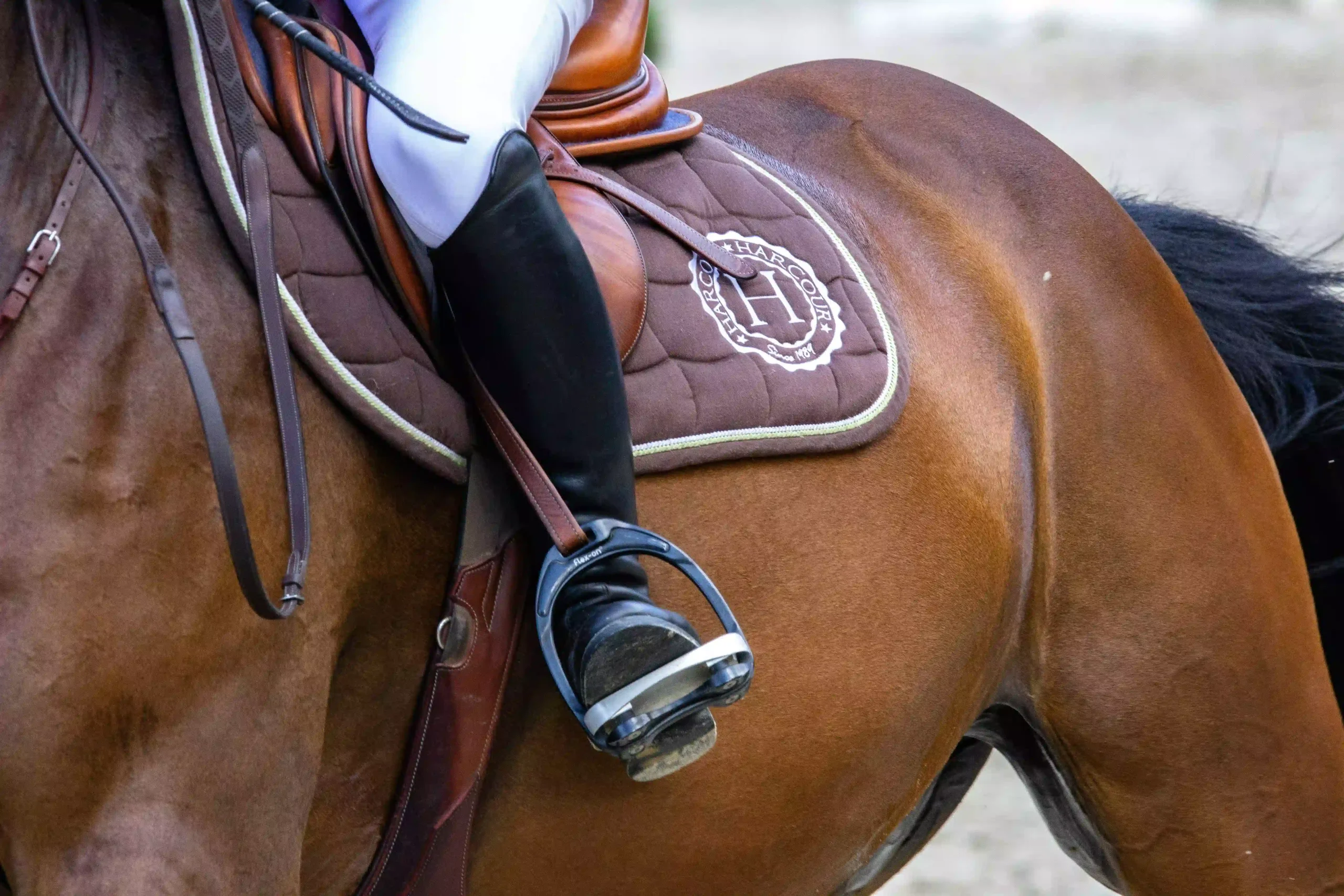 close up of side of horse show saddle